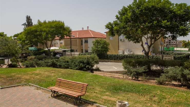 חריש (צילום: עידו ארז) חריש