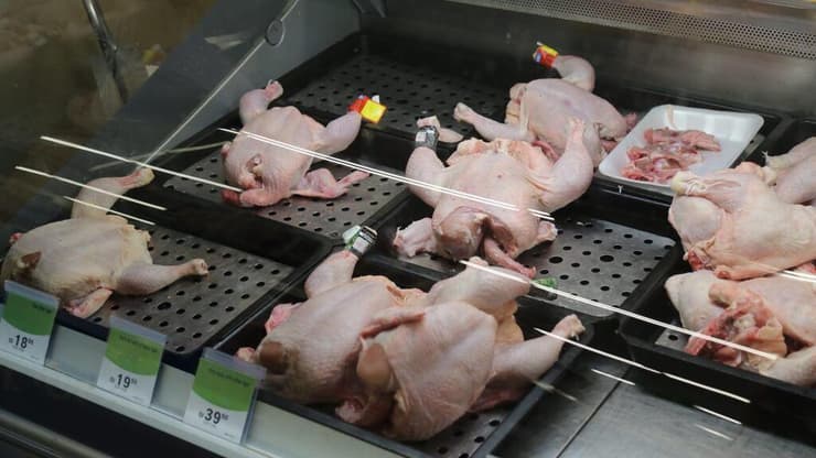 צילום: מוטי קמחי