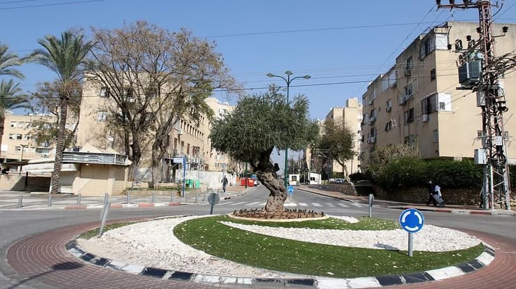 נתניה