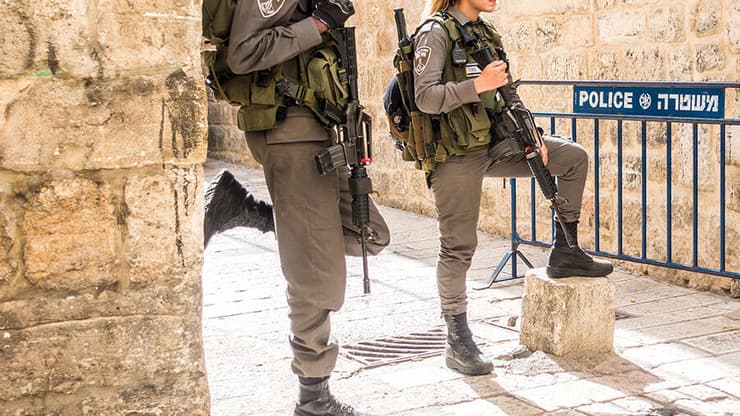 ארכיון: shutterstock