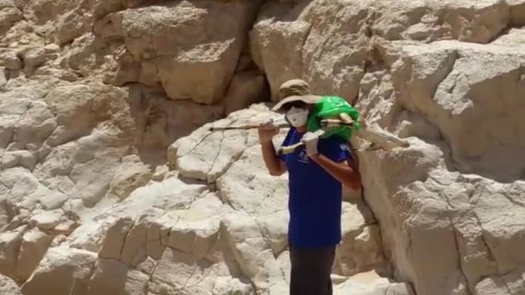 פגר של יעל שמת בזיהום באשלים ב-2017