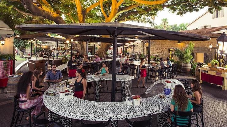 ויקי כריסטינה