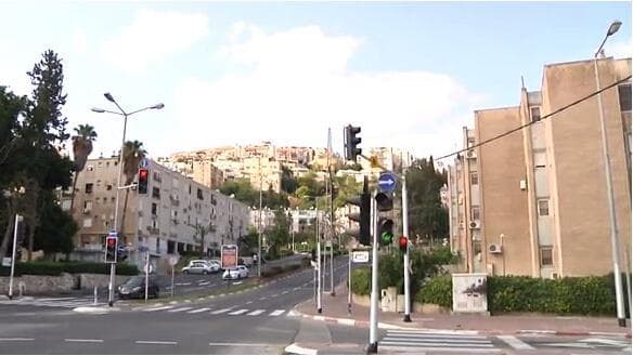 נשר (צילום: שמיר אלבז) נשר