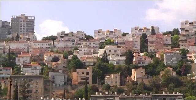 נשר (צילום: שמיר אלבז) נשר