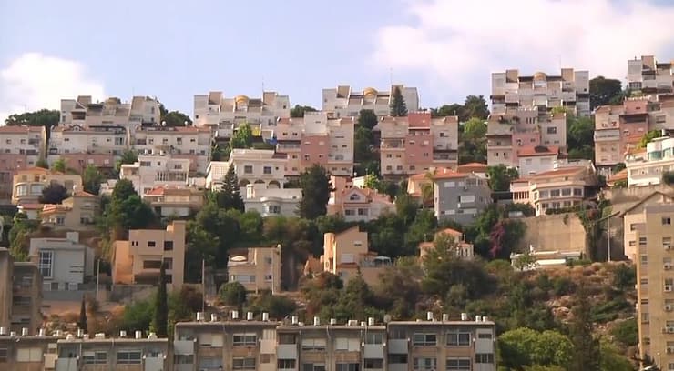 נשר (צילום: שמיר אלבז) נשר