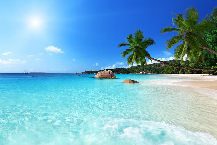 אנסה לציו (צילום: שאטרסטוק) אנסה לציו