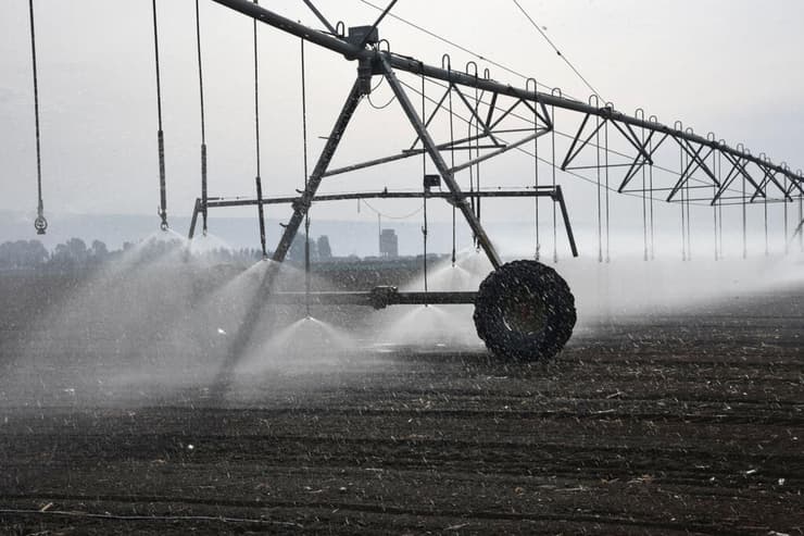 "באירופה יודעים שהם חייבים לעבור לחקלאות בהשקיה"
