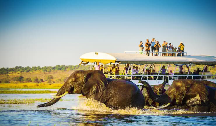 בוטסואנה (צילום: shutterstock) בוטסואנה
