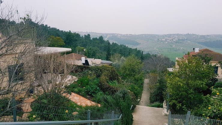 צילום: אסף קמר