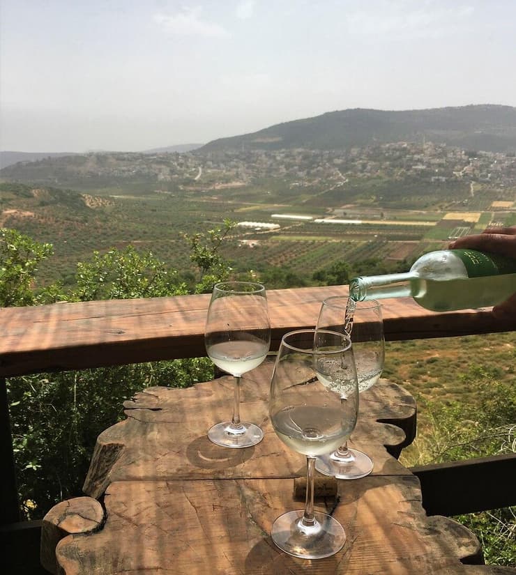 יקב לטם. כמה שפחות התערבות ביין (צילום: יעל לרנר) יקב לטם