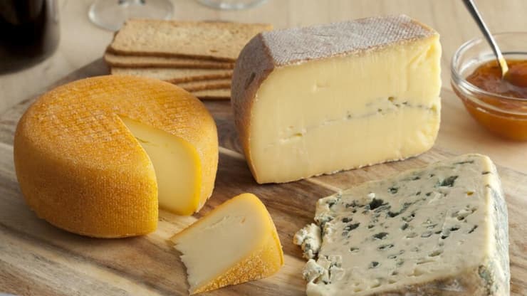 בגבינה יש חלבונים וחומצות אמינו שעוזרים לתאי העצב להישאר בריאים (צילום: shutterstock) גבינות