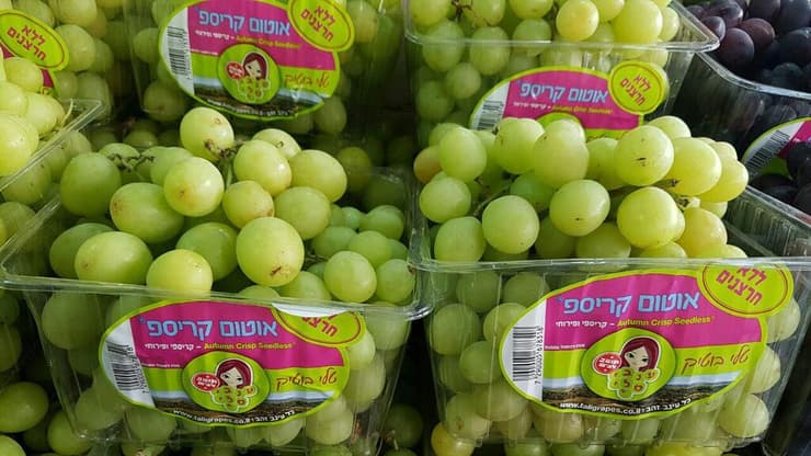 מחירי ענבים