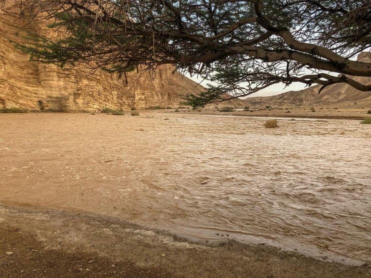 שיטפון בנחל עשוש