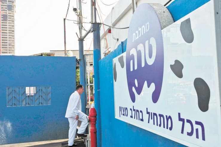 טרה מחלבה (צילום: עמית שעל) טרה מחלבה
