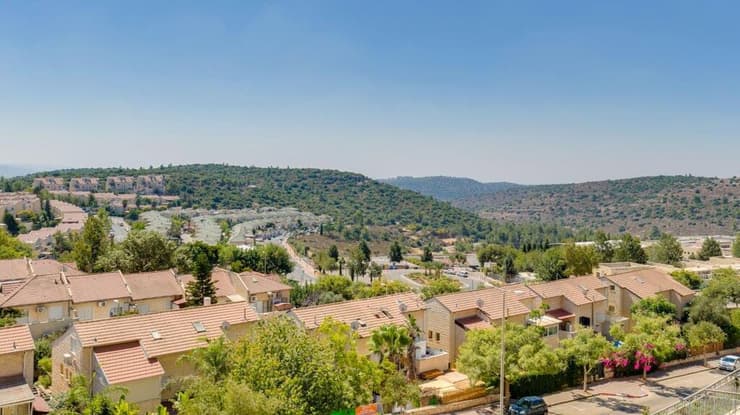 צור הדסה (צילום: מיכאל ארנבורג מחברת מירו מדיה) צור הדסה