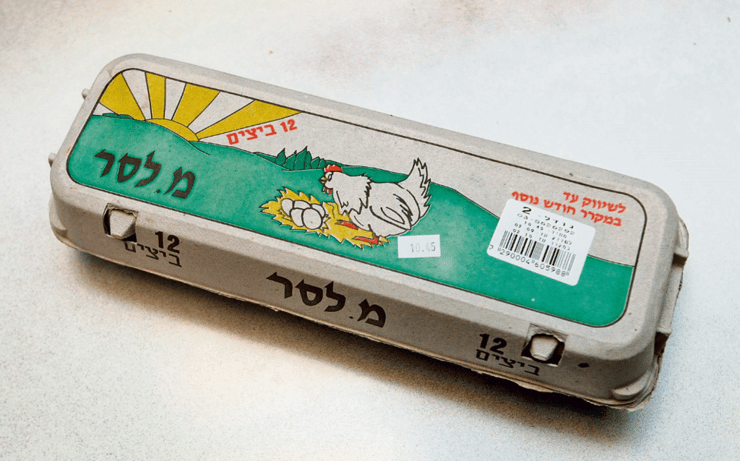 ביצים של חברת לסר אינפו כלכלה ביצים מפעל חדש