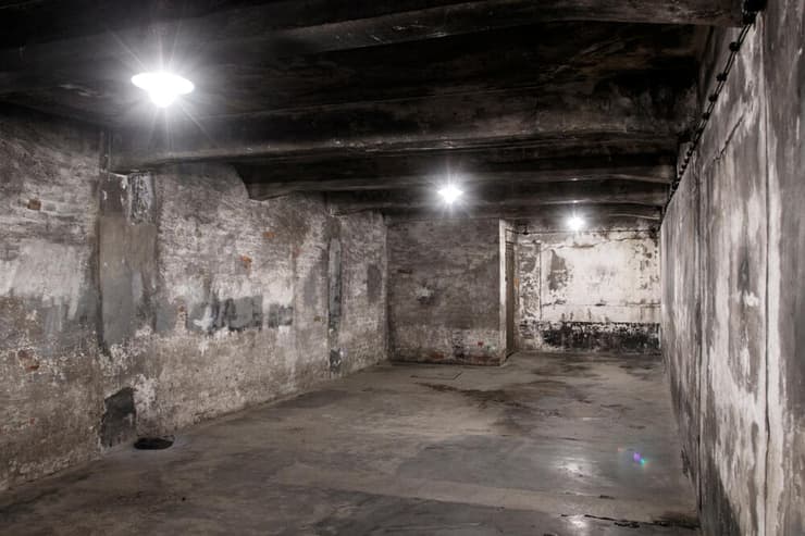 עובדה היסטורית. תא גזים באושוויץ (צילום: Shutterstock) תא גזים באושוויץ