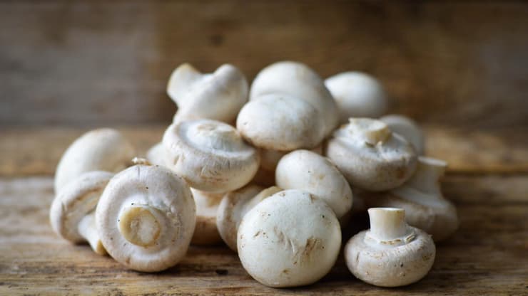 לא רק שמפיניון (צילום: Shutterstock) פטריות שמפיניון