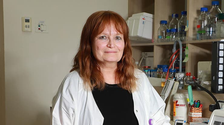 "בעונת שפעת קשה כמו העונה הנוכחית, יש בהחלט מקום לחזור להשתמש במסכות". פרופ' גליה רהב (צילום: דנה קופל) פרופ' גליה רהב מנהלת המכון למחלות זיהומיות בבית החולים שיבא