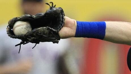 "נראה שההחלטה הייתה נגועה בפוליטיקה" (צילום: AP) איאן קינסלר