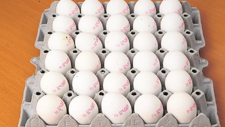 קרטון ביצים (צילום: אלעד גרשגורן) קרטון ביצים