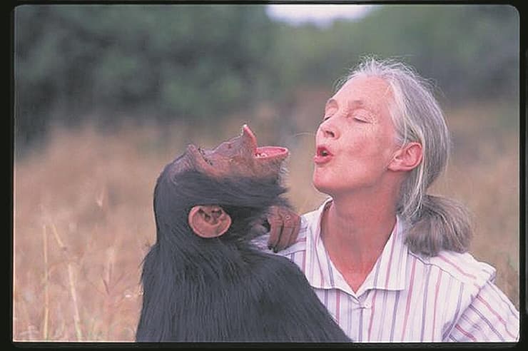ג'יין גודול בתמונה מתוך הסרט