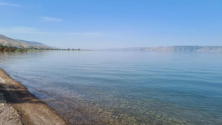 חוף דוגית בכינרת (צילום: איציק לוי, רשות הכינרת) חוף דוגית הבוקר