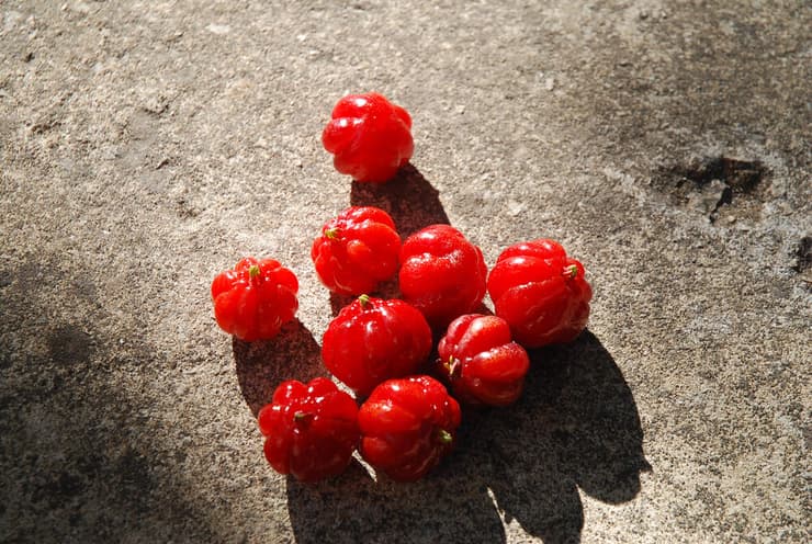 פיטנגו: גם לריבות וגם למשקאות (צילום: Shutterstock) פיטנגו