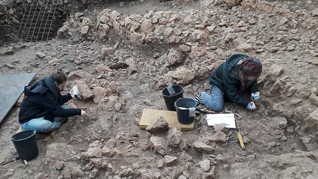 חפירות טרסת מערת הנחל שכבה נטופית.