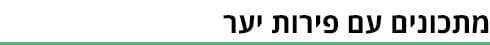 כותרת ביניים (גרפיקה ynet) כותרת ביניים