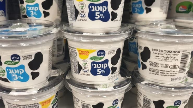 קוטג' טרה (צילום: נווית זומר) קוטג' עם ויטמין D של טרה