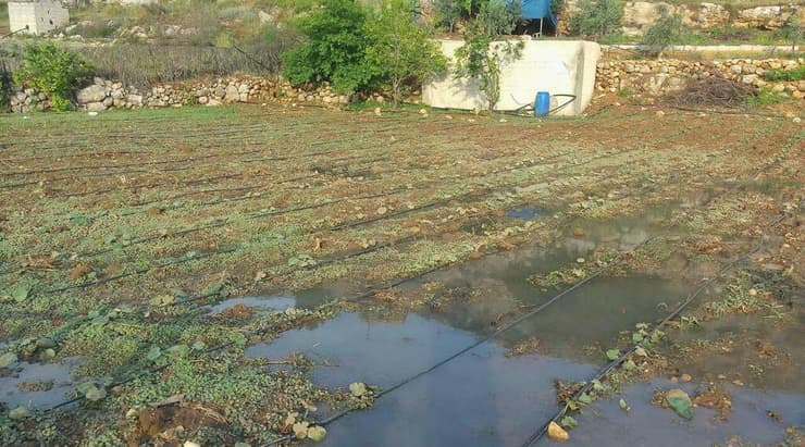 לפי התביעה, הביוב גרם לנזקים כלכליים קשים לכפר הפלסטיני