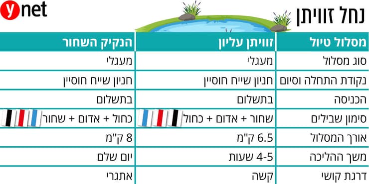 אינפו (ynet) אינפו
