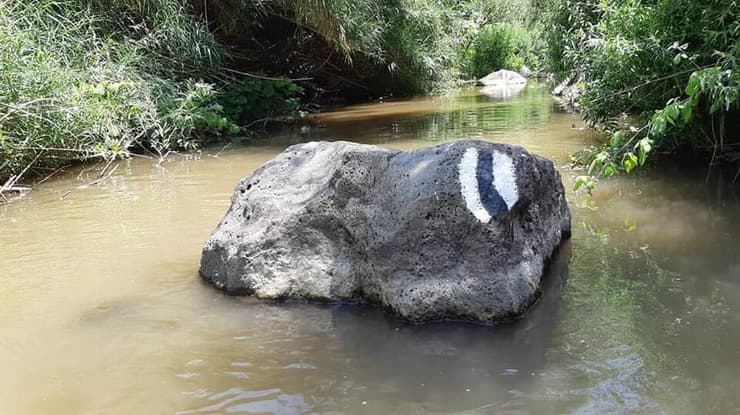 המסלול הרטוב בנחל יהודיה