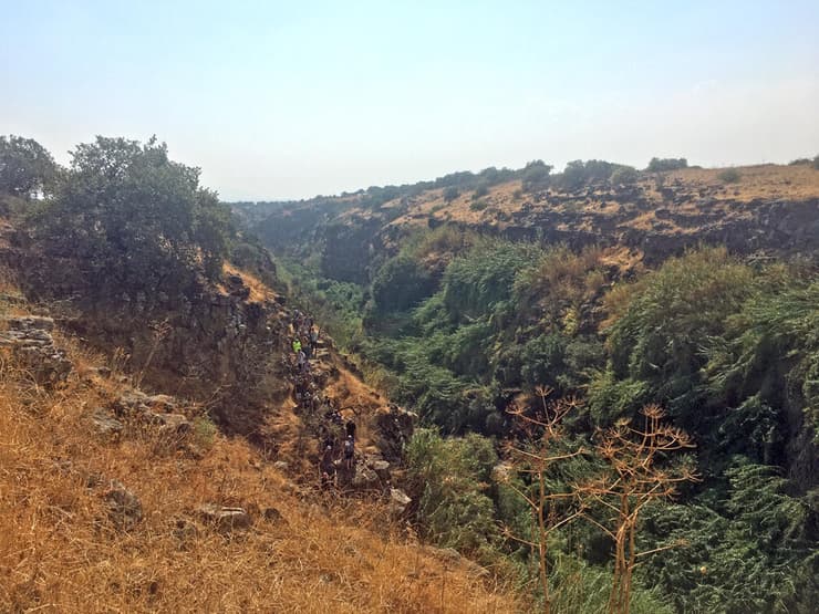 אחד הקניונים בשמורת יער יהודיה