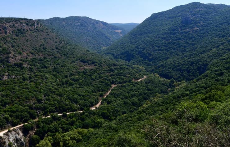 החורש הירוק של שמורת נחל כזיב