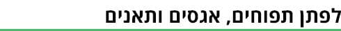 ביניים (גרפיקה: ynet) ביניים
