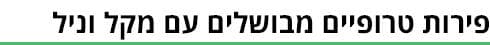 ביניים (גרפיקה: ynet) ביניים