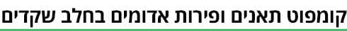 ביניים (גרפיקה: ynet) ביניים
