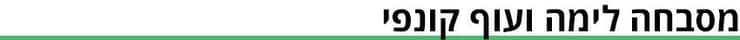 ביניים (גרפיקה ynet) ביניים