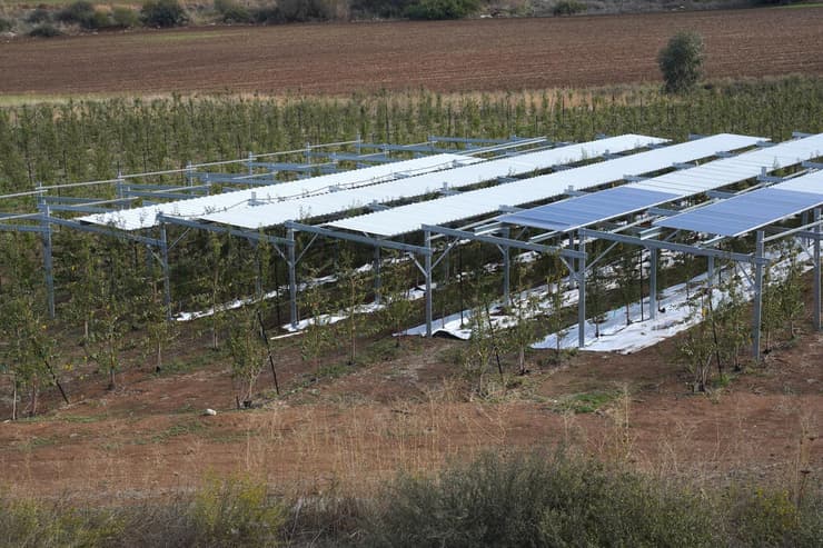 מטע השזיפים יחד עם היחידה לייצור חשמל מהשמש