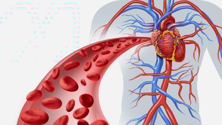 החזון: המיקרו-רובוטים ינועו בעתיד בתוך כלי הדם ויגיעו ישירות לאזור המטרה (איור: Shutterstock) מנטה