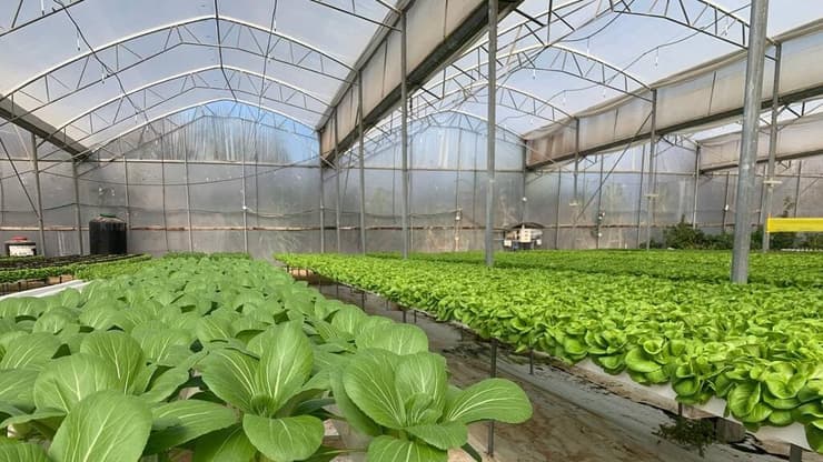 יום בעמק - כרמלים - אדם קוטב