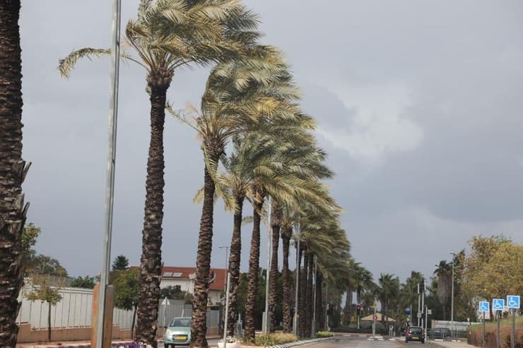 רוחות עזות בנמל יפו (צילום: מוטי קמחי) מזג אוויר חורפי בנמל יפו