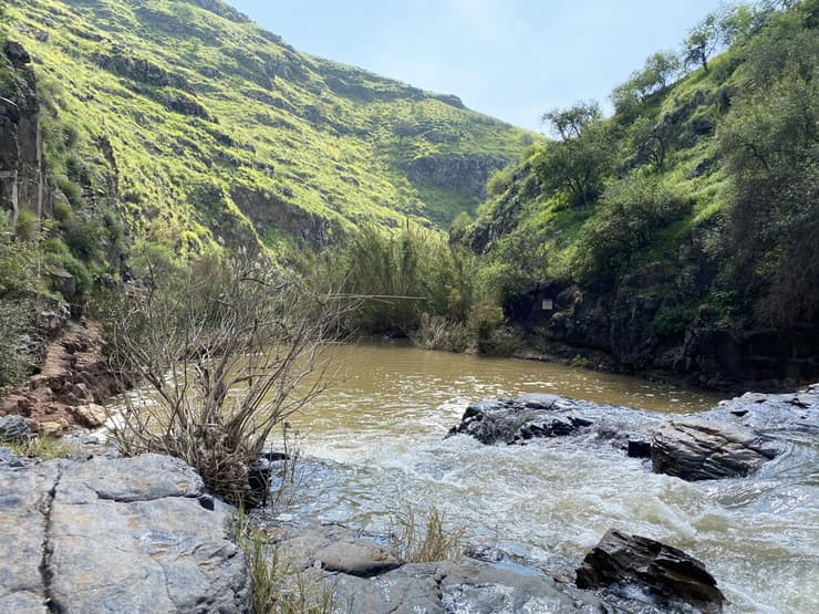 הבריכה האדומה