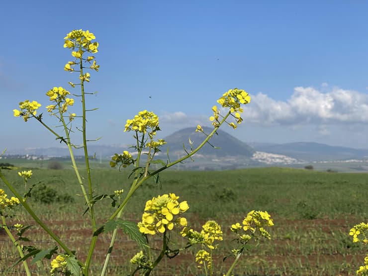 נחל תבור כפי שנשקף מהמסלול