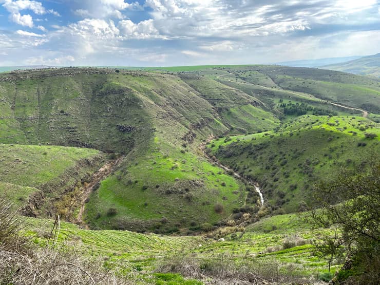 נפתול לשון המלך