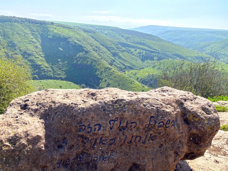 מצפור אורן ליפשיץ