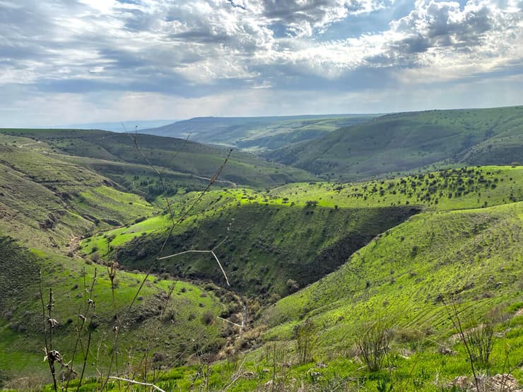 קניון הבזלת של נחל תבור בחורף