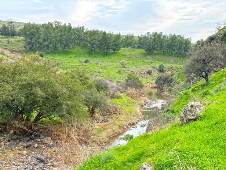נחל תבור בחורף
